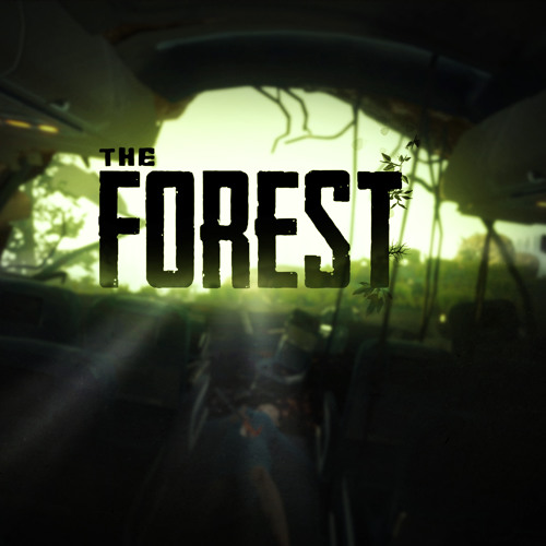 THE FOREST