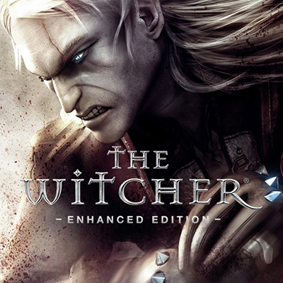 The Witcher 